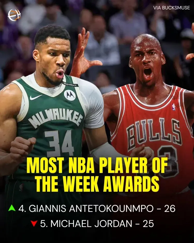 开云-老鹰带队取胜！，字母哥重要时刻锐不可当气势如虹延续-开云